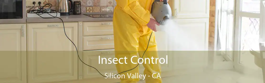 Insect Control Silicon Valley - CA