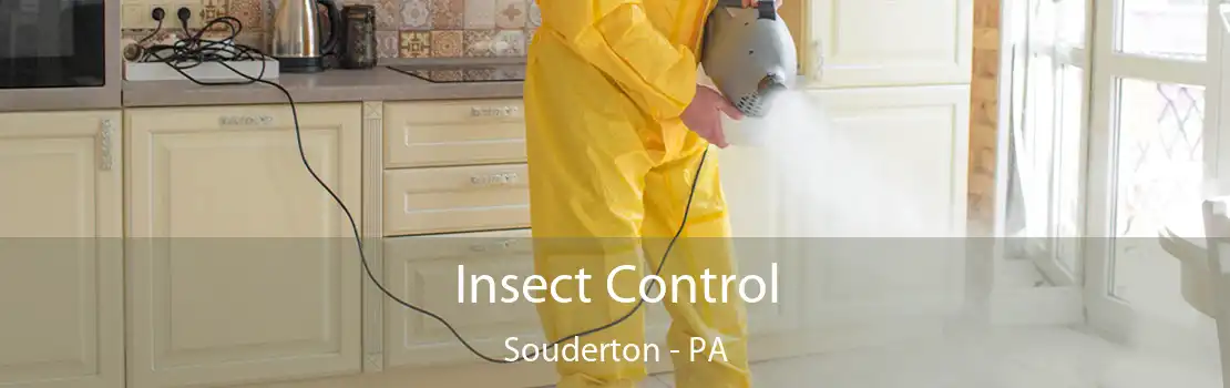 Insect Control Souderton - PA