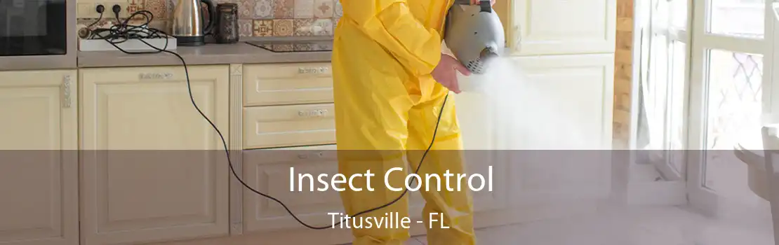 Insect Control Titusville - FL