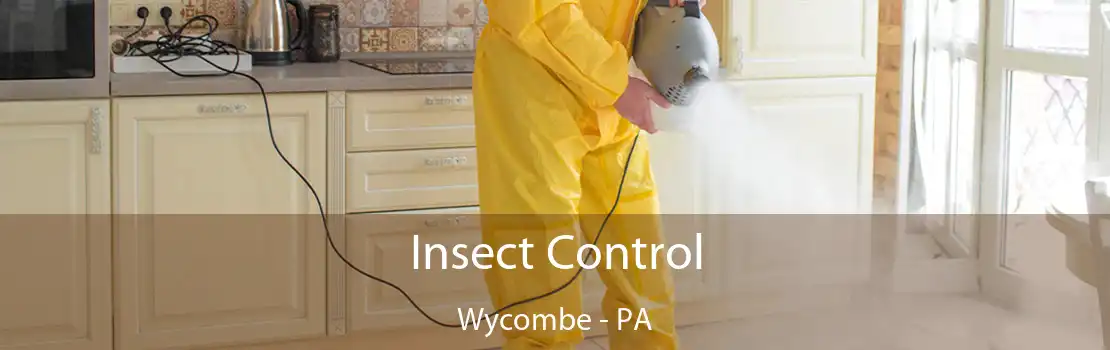 Insect Control Wycombe - PA