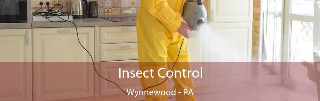 Insect Control Wynnewood - PA