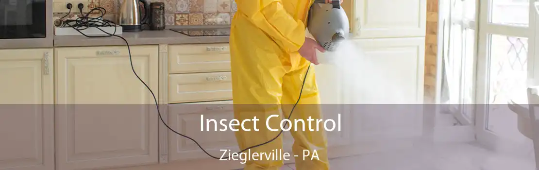 Insect Control Zieglerville - PA