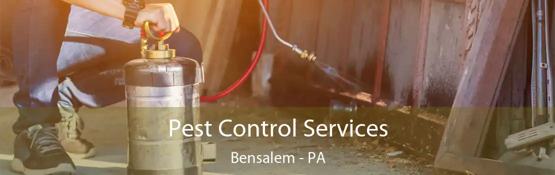 Pest Control Services Bensalem - PA