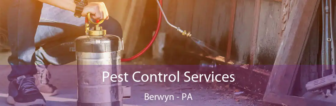 Pest Control Services Berwyn - PA