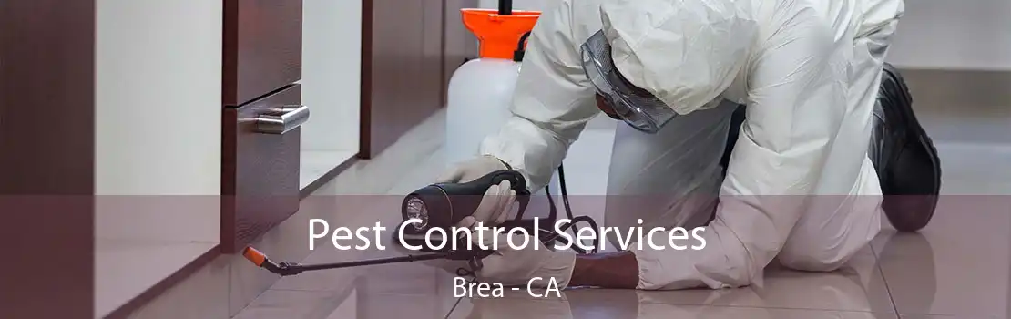 Pest Control Services Brea - CA