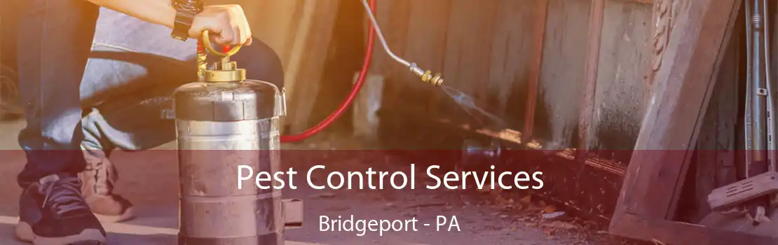 Pest Control Services Bridgeport - PA