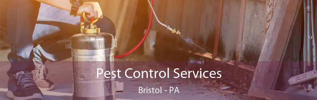 Pest Control Services Bristol - PA