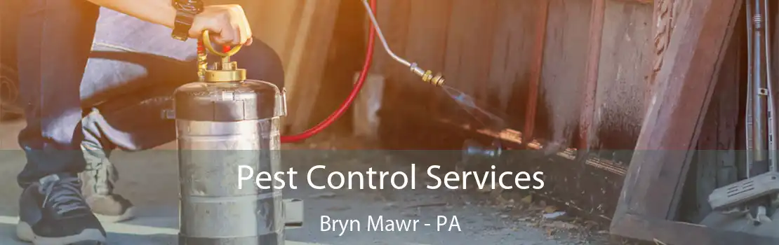 Pest Control Services Bryn Mawr - PA