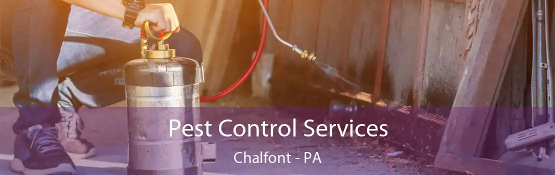 Pest Control Services Chalfont - PA