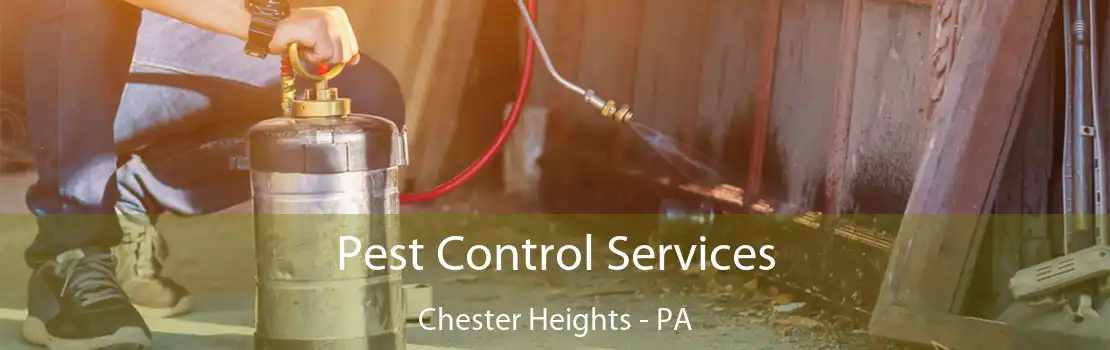 Pest Control Services Chester Heights - PA