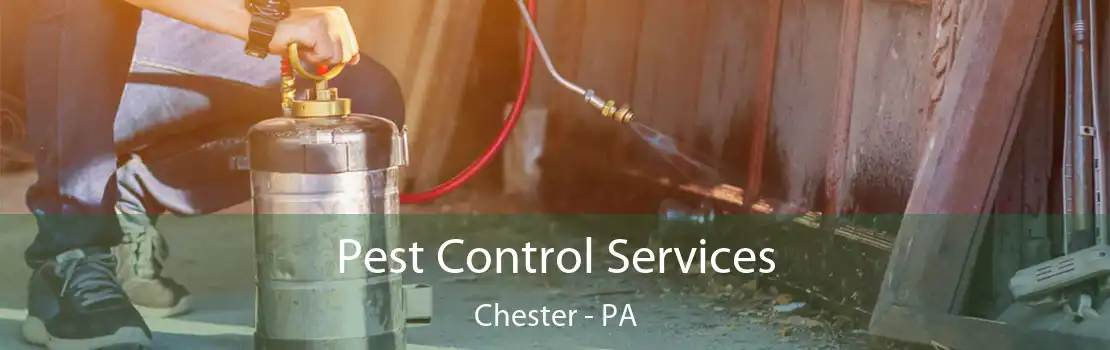 Pest Control Services Chester - PA