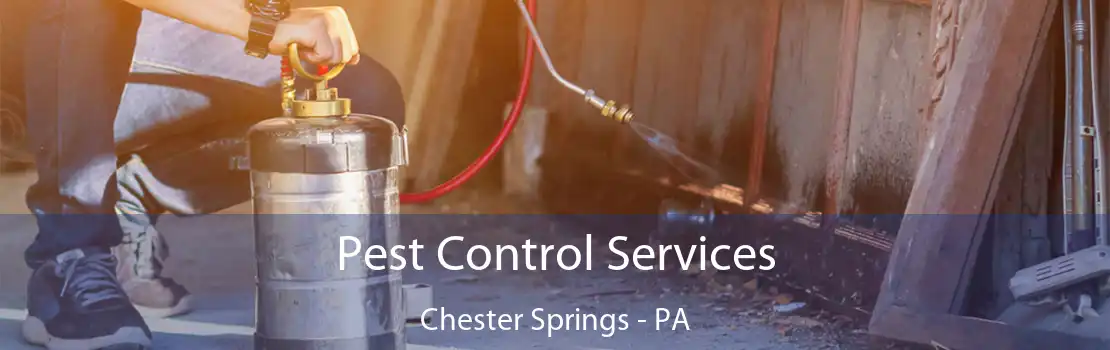 Pest Control Services Chester Springs - PA