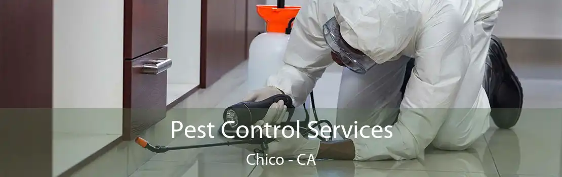 Pest Control Services Chico - CA