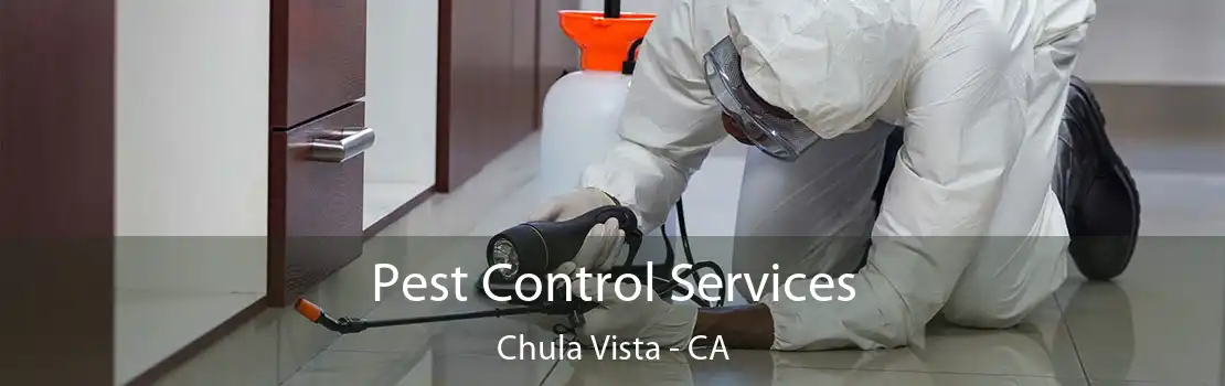 Pest Control Services Chula Vista - CA