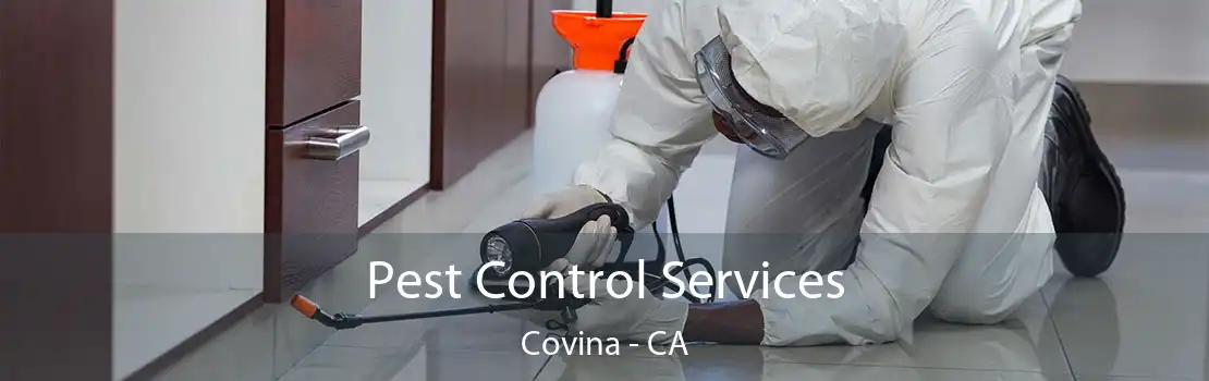 Pest Control Services Covina - CA