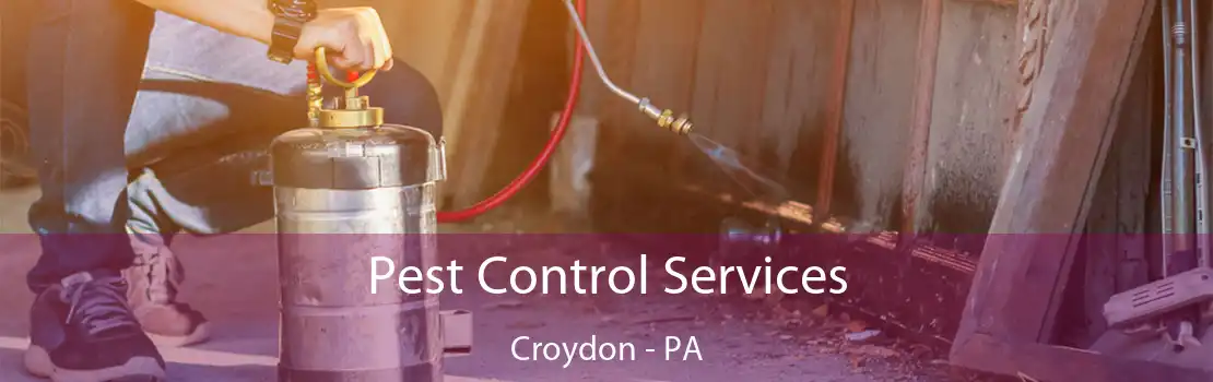Pest Control Services Croydon - PA