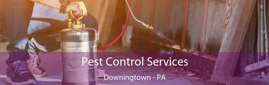 Pest Control Services Downingtown - PA