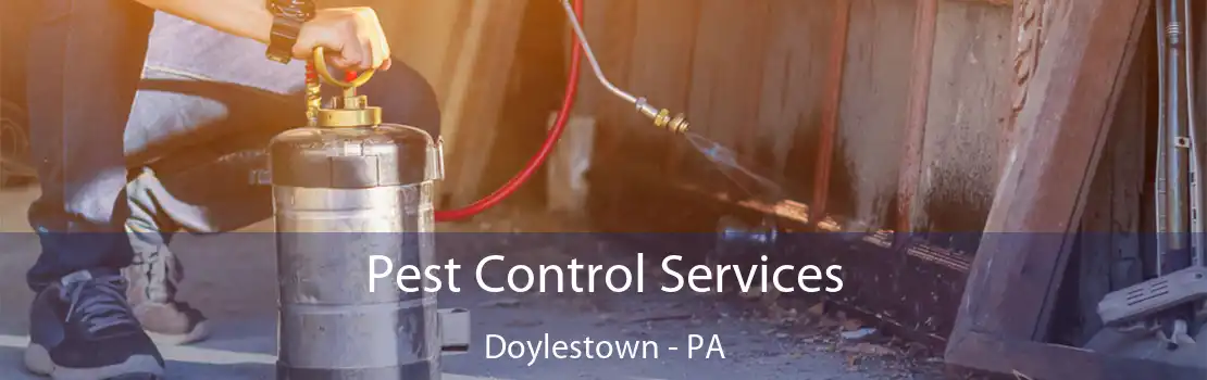 Pest Control Services Doylestown - PA