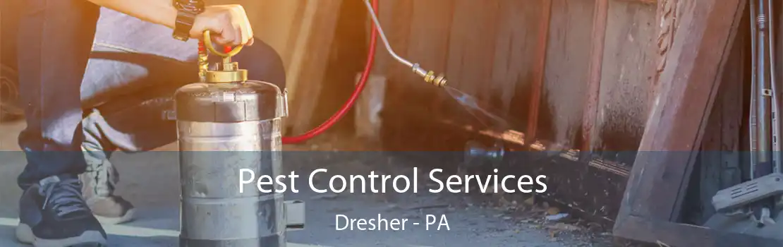 Pest Control Services Dresher - PA