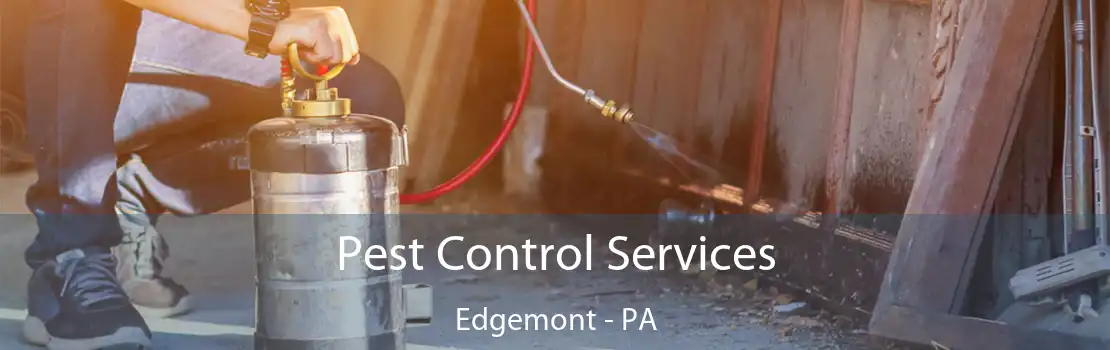 Pest Control Services Edgemont - PA