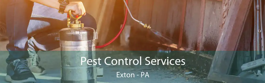 Pest Control Services Exton - PA