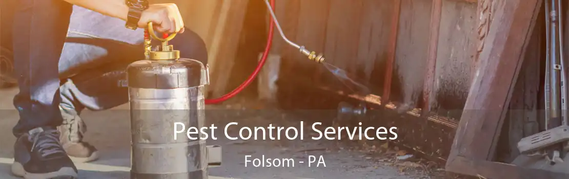 Pest Control Services Folsom - PA