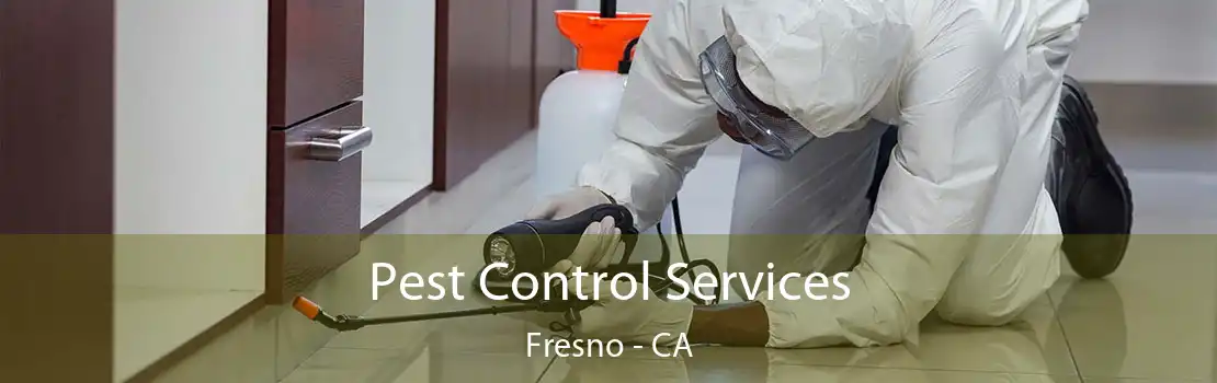 Pest Control Services Fresno - CA