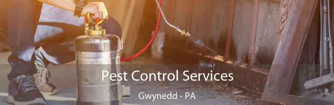 Pest Control Services Gwynedd - PA