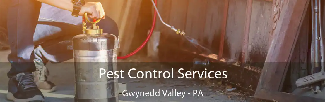 Pest Control Services Gwynedd Valley - PA