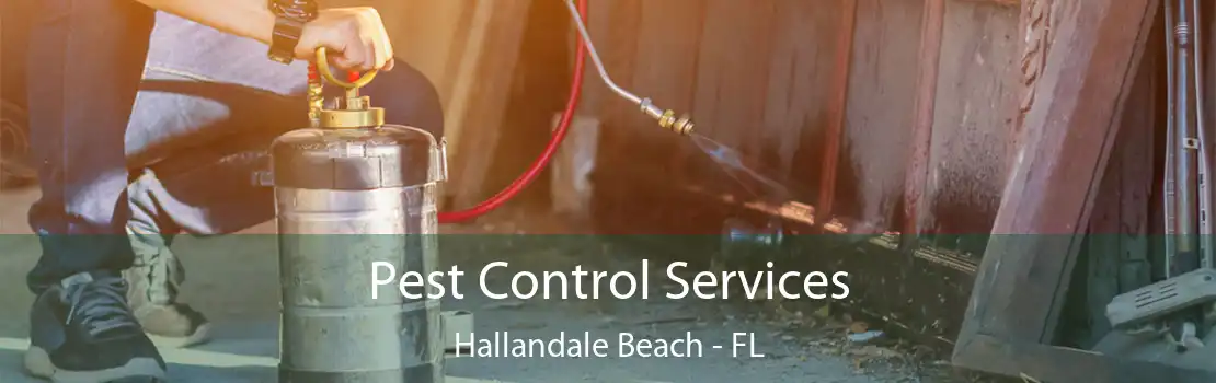 Pest Control Services Hallandale Beach - FL