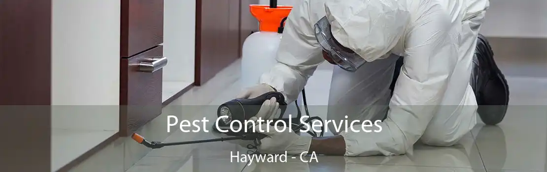 Pest Control Services Hayward - CA