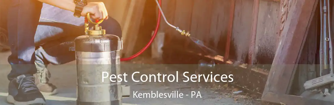 Pest Control Services Kemblesville - PA