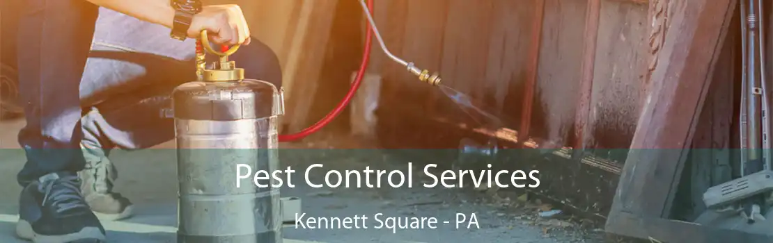 Pest Control Services Kennett Square - PA