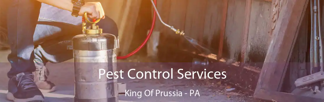 Pest Control Services King Of Prussia - PA