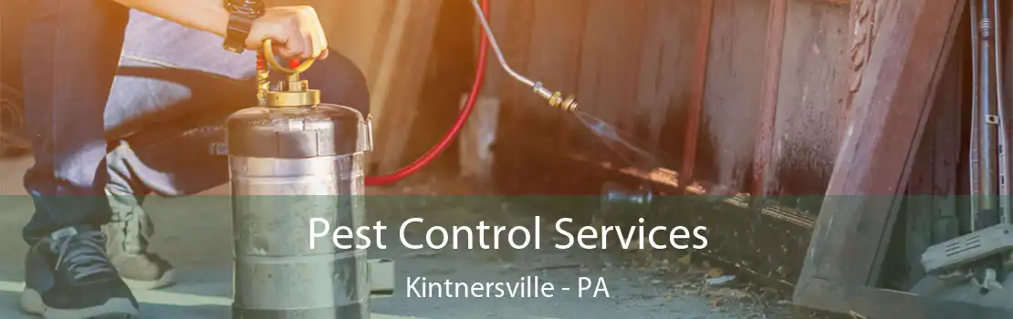 Pest Control Services Kintnersville - PA