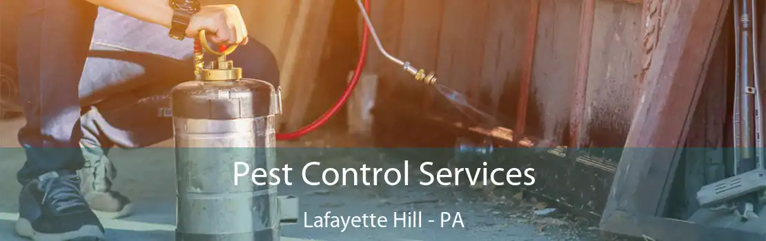 Pest Control Services Lafayette Hill - PA