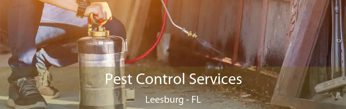 Pest Control Services Leesburg - FL