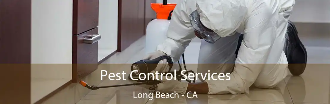 Pest Control Services Long Beach - CA