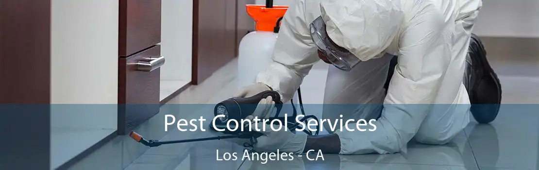 Pest Control Services Los Angeles - CA