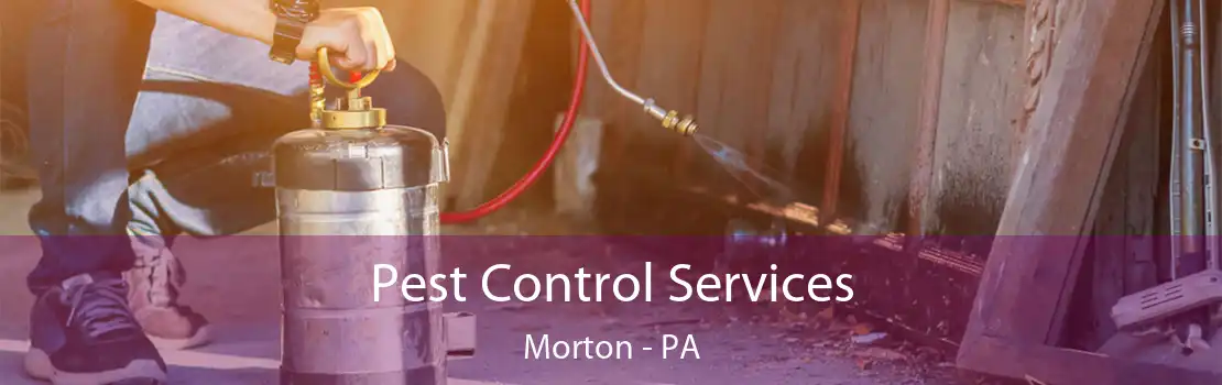 Pest Control Services Morton - PA