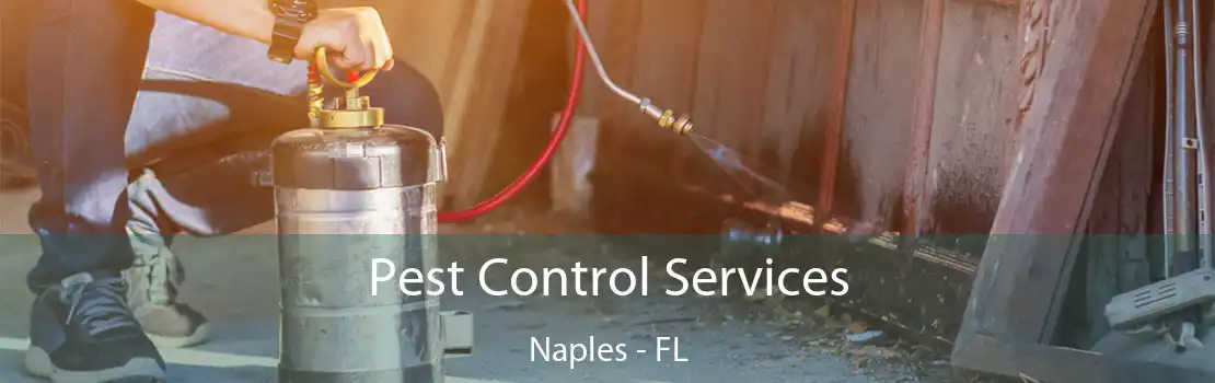 Pest Control Services Naples - FL