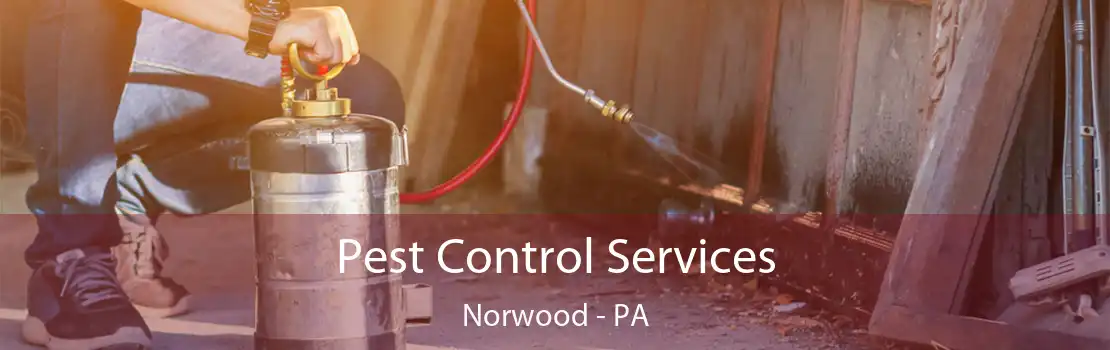 Pest Control Services Norwood - PA