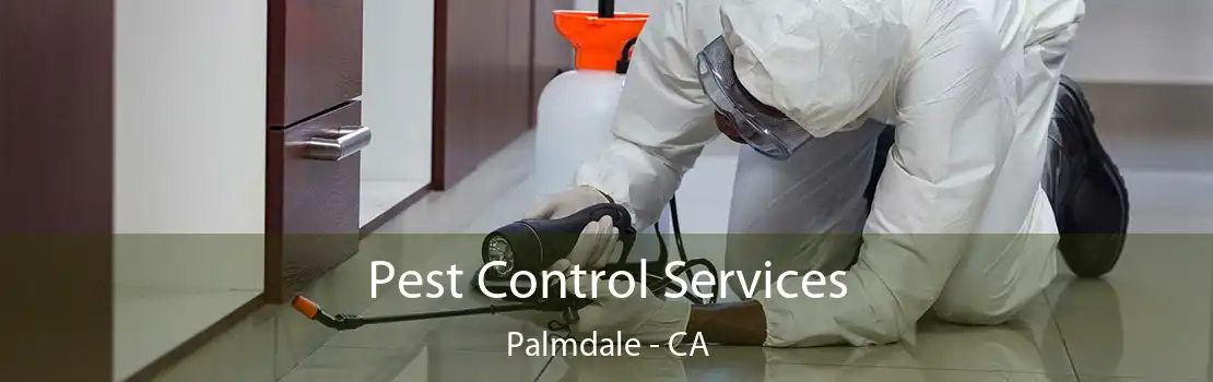 Pest Control Services Palmdale - CA