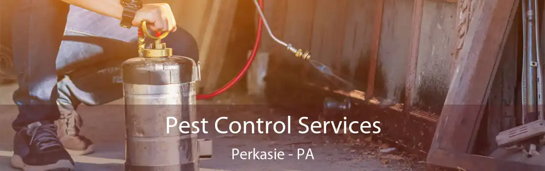 Pest Control Services Perkasie - PA