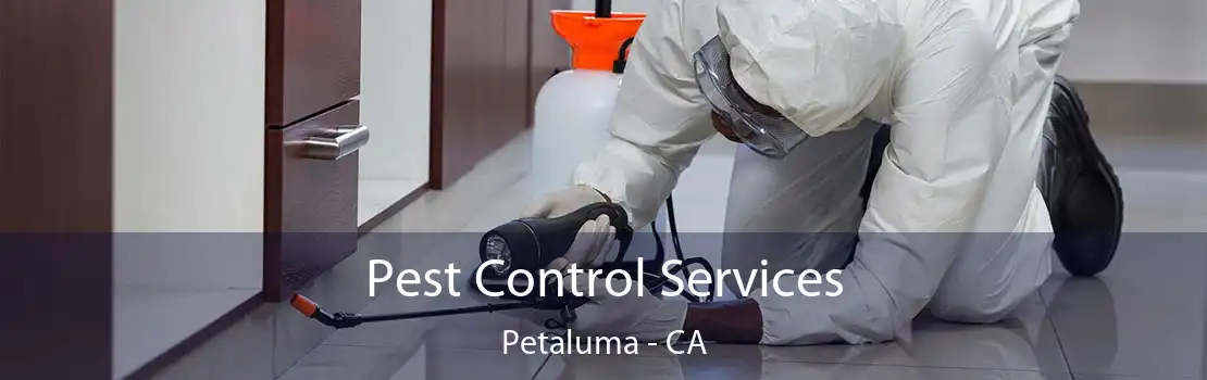 Pest Control Services Petaluma - CA