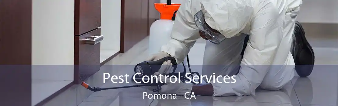 Pest Control Services Pomona - CA