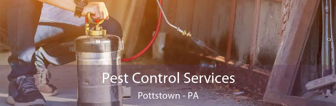 Pest Control Services Pottstown - PA