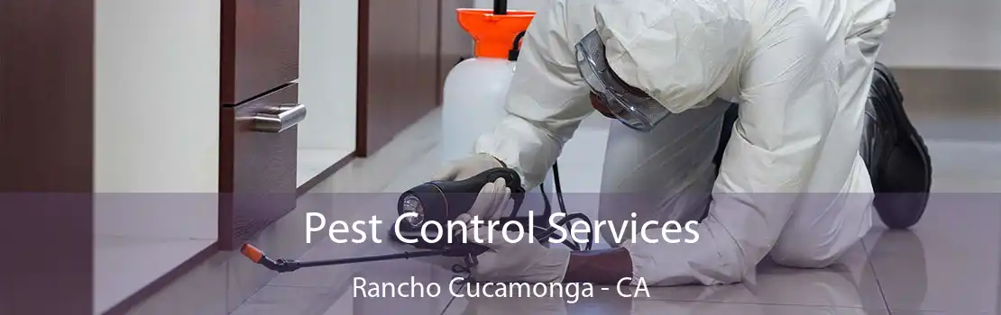Pest Control Services Rancho Cucamonga - CA