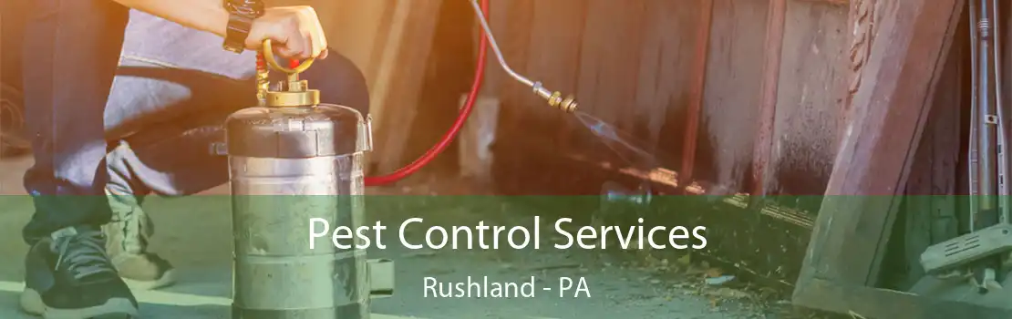 Pest Control Services Rushland - PA