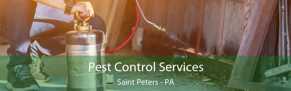 Pest Control Services Saint Peters - PA